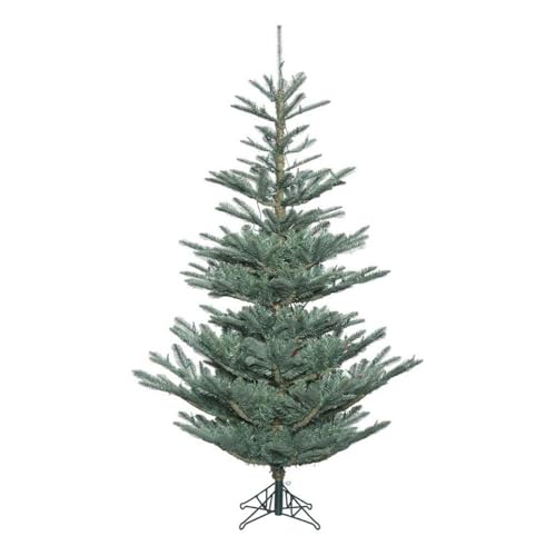 G160480 Alberta Blue Spruce Christmas Tree
