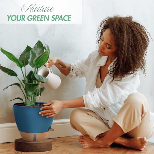2 Pack 10 inch Plant Pots (2 Count)