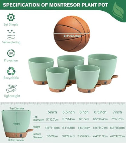 5 Pack Green 5 (5 Count)