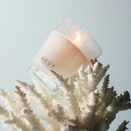 Scented Classic Candle (8.1 Ounce)