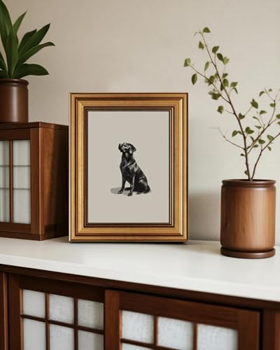 Framed Wall Art