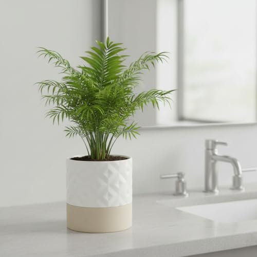 Ceramic Self Watering Plant Pot for Indoor Plants