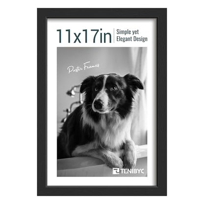 11x17 Picture Frame 1 Pack