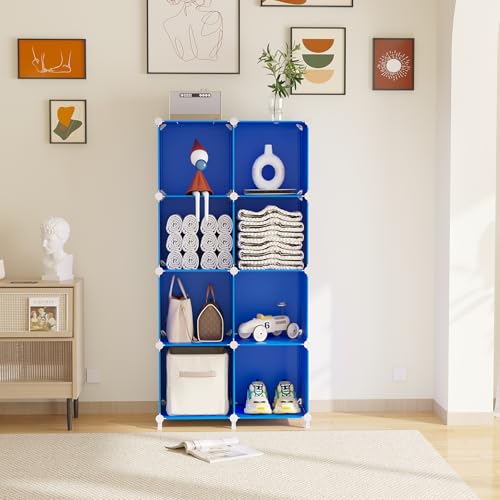Cube Storage Organizer