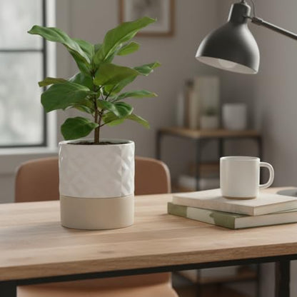 Ceramic Self Watering Plant Pot for Indoor Plants