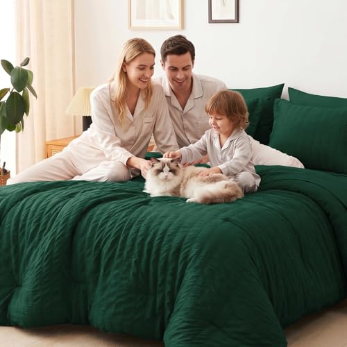 Queen Comforter Set