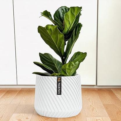Large Planter for Indoor or Outdoor