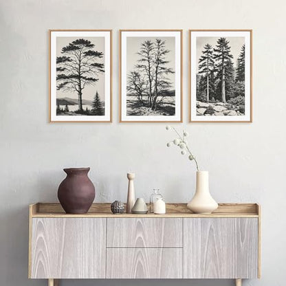 Large Vintage Sketch Tree Framed Wall Art Set