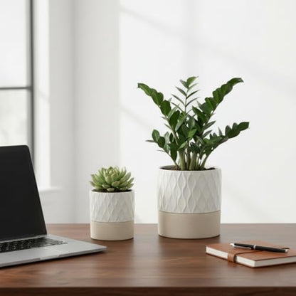Ceramic Self Watering Plant Pot for Indoor Plants