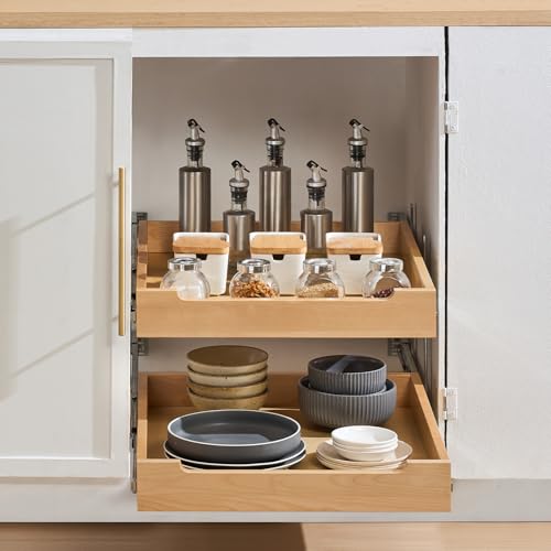 2 Tier Pull Out Cabinet Organizer