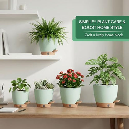 5 Pack Green 5 (5 Count)
