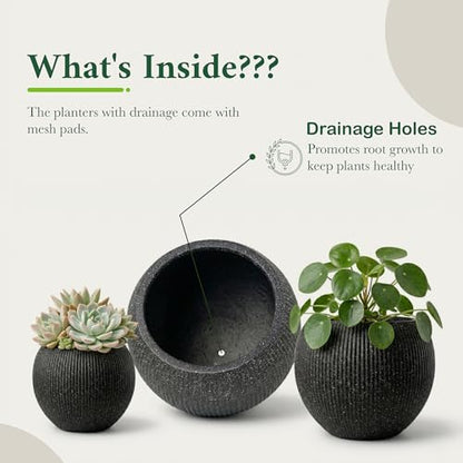 Premium Mt Sherman Fiberstone Sphere Planter for Indoor Outdoor Use