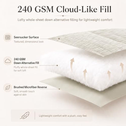 Queen Comforter Set