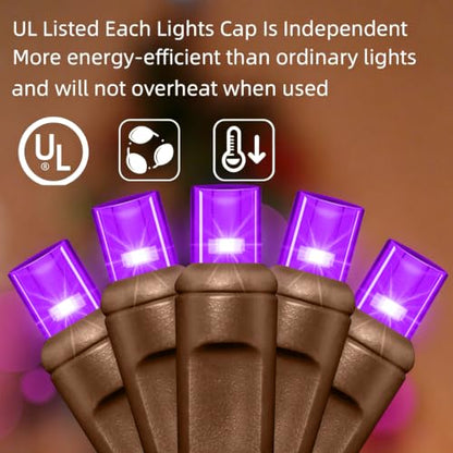 25FT Purple Halloween String Lights (50 Count)