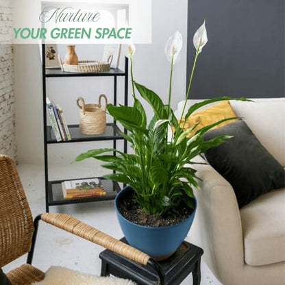 12/10/8 Inch Self Watering Pots for Indoor Plants Plastic Large Plant Pots for Outdoor Plants, Water Level Window & Spacious Reservoir Flower Pots Decorative Planter with Drainage and Tray (3 Count)