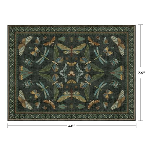 Washable 3x4 Rugs for Entryway (12 Sq Ft)