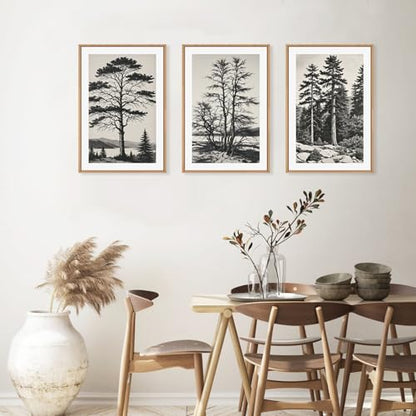Large Vintage Sketch Tree Framed Wall Art Set