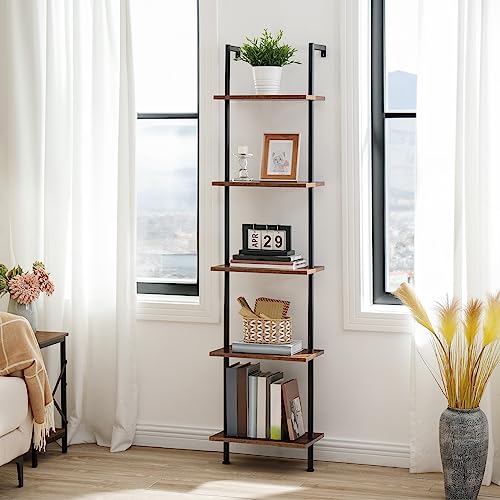 DIY Ladder Shelf