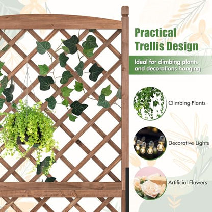 2 60” Raised Garden Bed with Trellis
