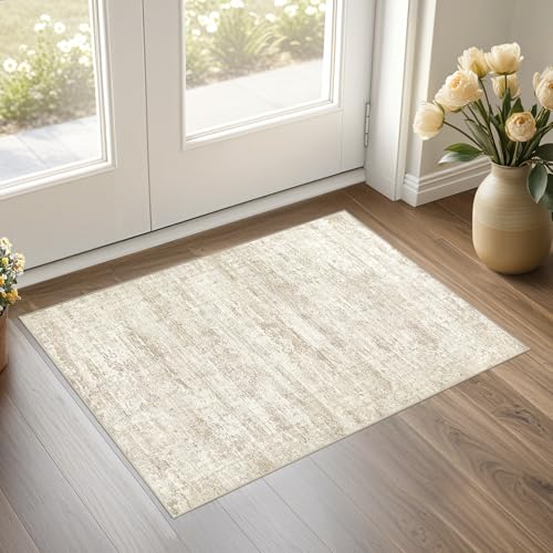 2x3 Entryway Area Rug