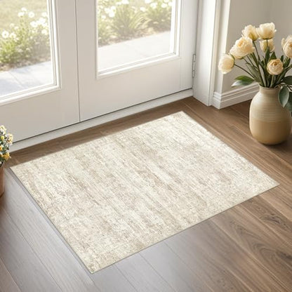 2x3 Entryway Area Rug