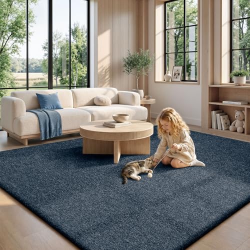 6x9 Area Rugs for Living Room Bedroom
