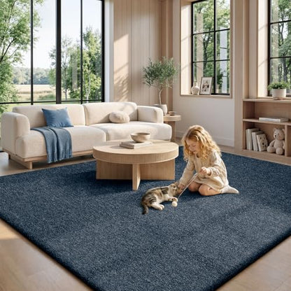 6x9 Area Rugs for Living Room Bedroom