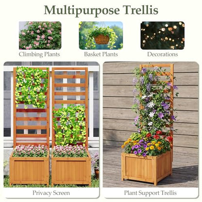 48" Raised Garden Bed with Trellis & Garden Box