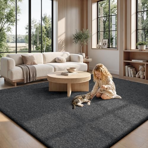 6x9 Area Rugs for Living Room Bedroom