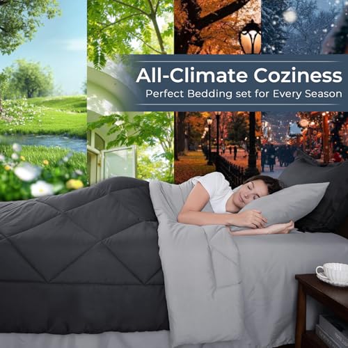 7 Piece Queen Comforter Set