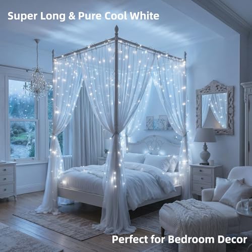 1000 LED White Christmas String Lights Outdoor with Remote (272 Foot)