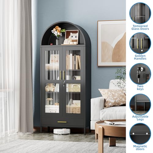 Arched Cabinet with Glass Doors