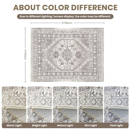 4x6 Area Rug for Entryway (24 Count)