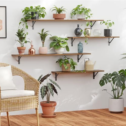 Long Wall Shelves