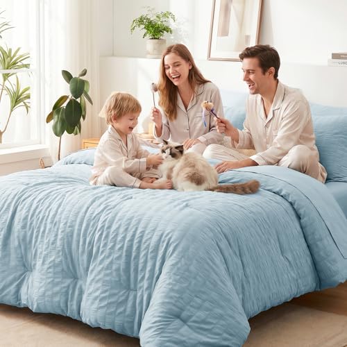 Queen Comforter Set