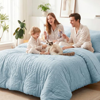 Queen Comforter Set