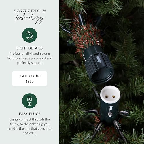 10 ft Pre Lit Classic Blue Spruce