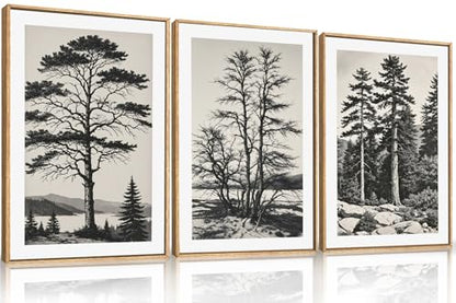 Large Vintage Sketch Tree Framed Wall Art Set