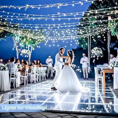 1000 LED White Christmas String Lights Outdoor with Remote (272 Foot)