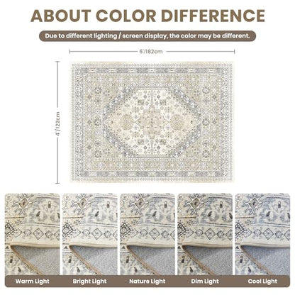 4x6 Area Rug for Entryway