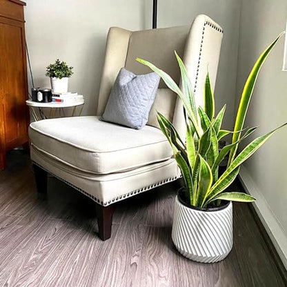 Large Planter for Indoor or Outdoor
