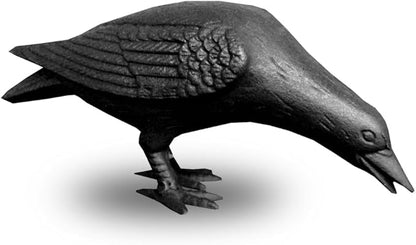NACH Cast Iron Crow Statue, Head Down Raven, Large Garden Statues, Crow Garden Sculpture, Bird Figurines Home Decor, Crow Decor, Raven Decor, Black Bird Statue, 10 x 3.5 x 6 inches, JS-90-7117