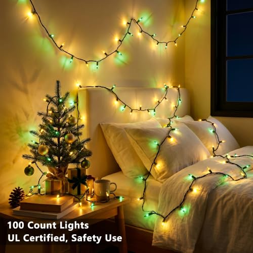 Christmas Lights (100 Count)