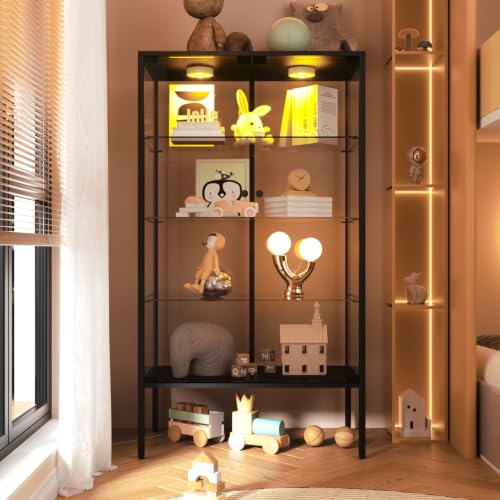 Iron Frame Glass Display Cabinet with LED