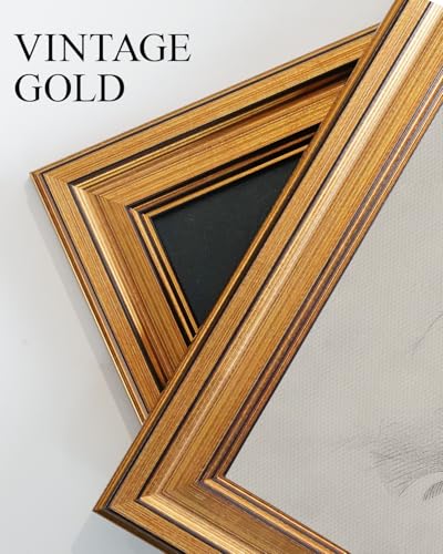 Vintage Gold Framed Wall Art