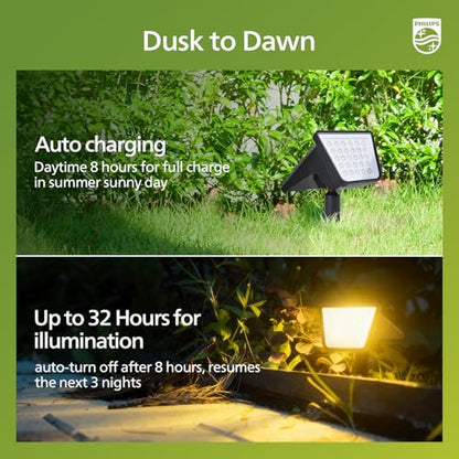 ODS TianZi Path 30K 2PK US (2 Count)