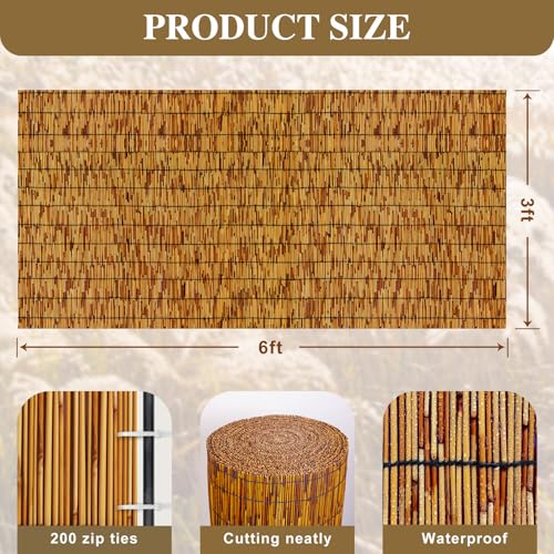 Natural Reed Fencing (18 Sq Ft)