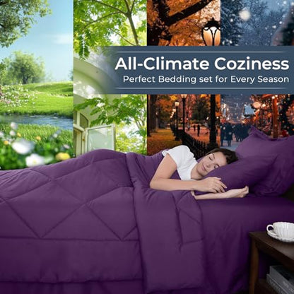 7 Piece Queen Comforter Set