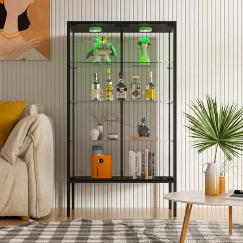 Iron Frame Glass Display Cabinet with LED