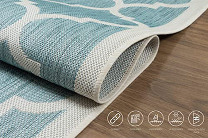 Outdoor Indoor Area Rug